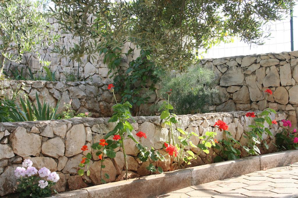 Apartment סביד חדר תמונה